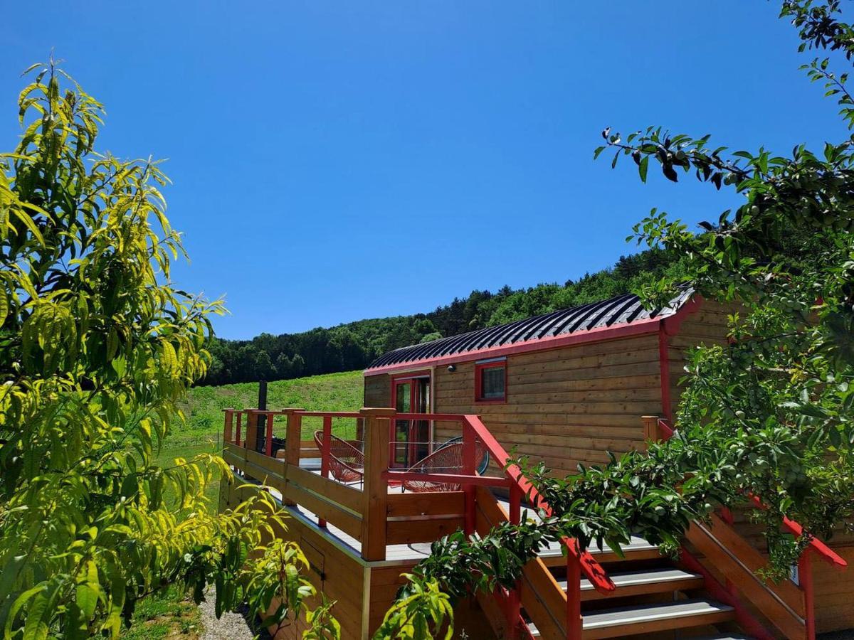 La Roulotte Du Tonnelier Vila Castelnau-de-Montmiral Exterior foto